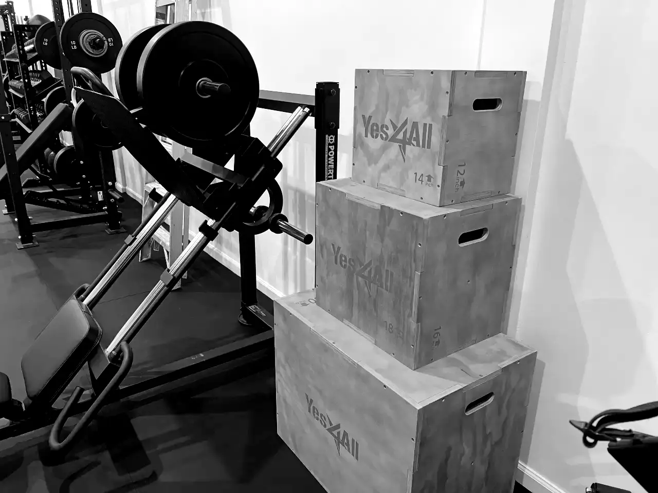 LaPlant Fitness Personal Training Studio Three wooden plyometric jump boxes stacked in a private training gym at LaPlant Fitness in Marin, CA.